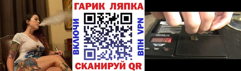 Купить закладку Гашиш  A-PVP  МЕФ  АМФЕТАМИН  Канабис  Ветлуга