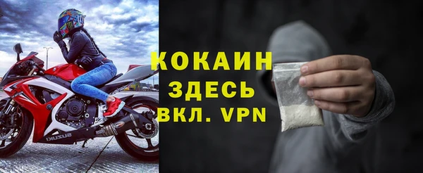 амф Верея