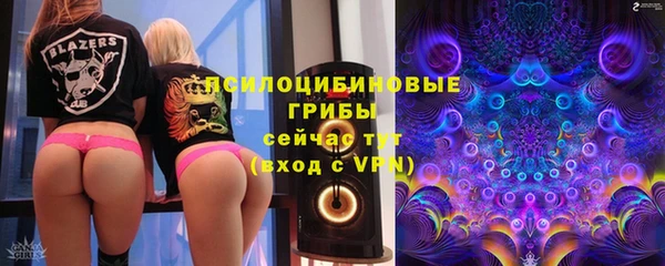 трава Бородино