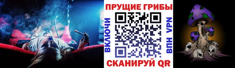 Псилоцибиновые грибы Psilocybe Купить где Ветлуга